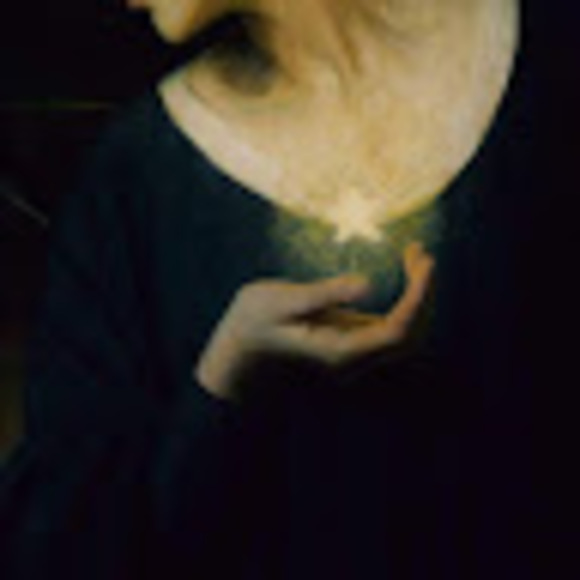 Meet your Posher, Sadie - Picture 1 of 1